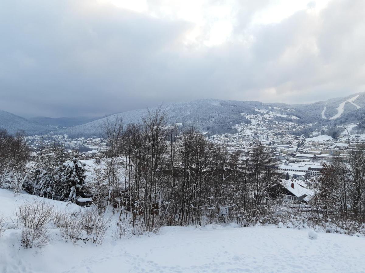 Studio Les Bleuets Gérardmer Buitenkant foto